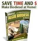 algae-biodiesel.jpg